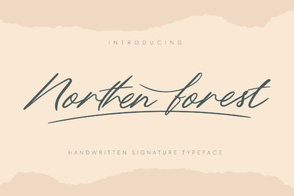 Northern Forest Font: Elevating Small Business Branding