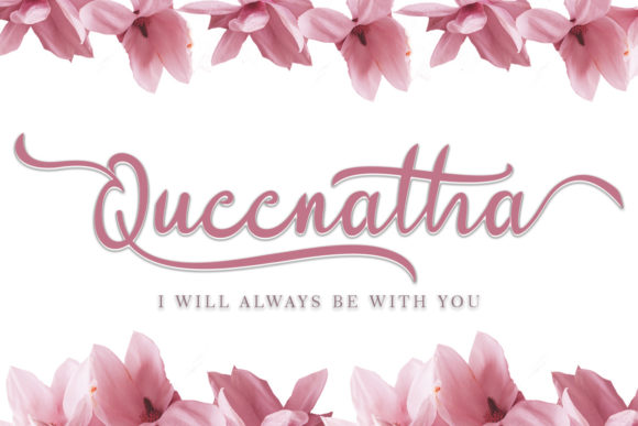 Queenatha Font: Elegant Script Handwritten Typography for Web Design