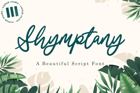 Shymptany Font: Elevating Boutique Web Design