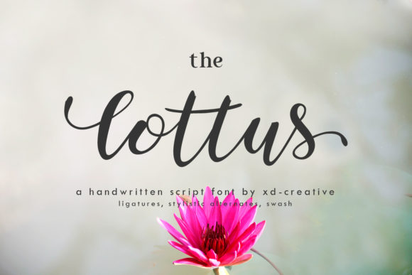 The Lottus Font: Elevating Boutique Brand Identity
